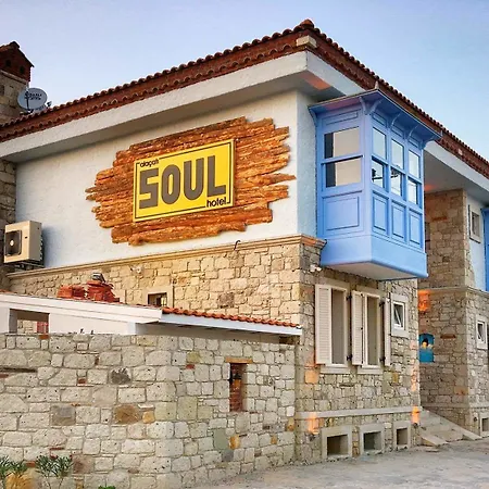 Soul 3*